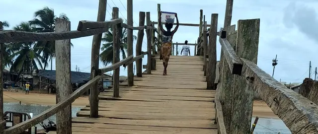 Mangrove