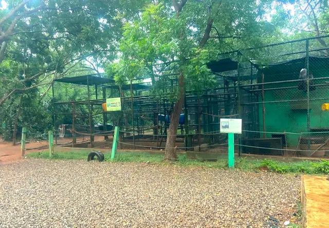 Accra Zoo