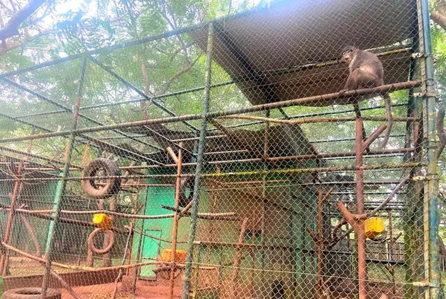Accra Zoo