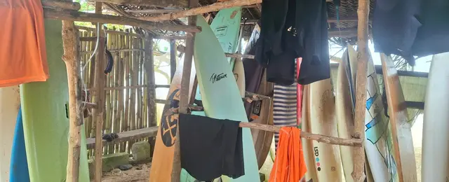 Desmond Surf School